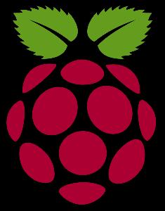 Raspberry Pi - Brian